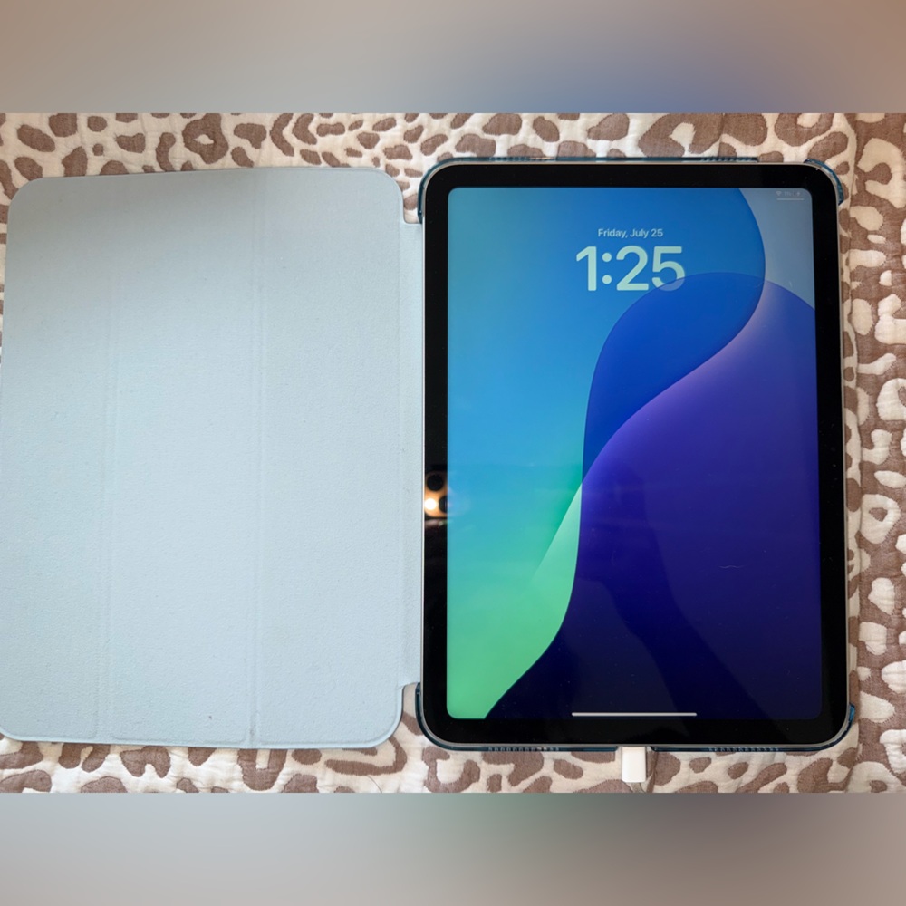 Apple iPad